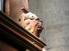 TETE DE LION