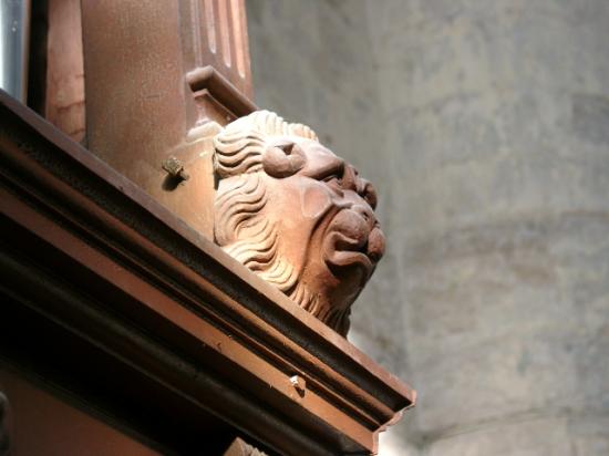 TETE DE LION